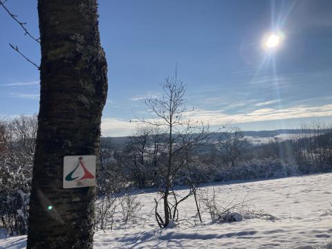 Winterliche Wanderfreuden in der Vulkanregion Vogelsberg - (c) Ilka Schacht