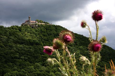 Burg Teck am Albsteig - (c) LRA Esslingen/Dieter Rouff