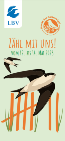 Wichtige Unterlagen zur Zählung der Gartenvögel 2023, wie den Meldebogen, können Sie in unserem Artikel herunterladen - (c) NABU Wichtige Unterlagen zur Zählung der Gartenvögel 2023, wie den Meldebogen, können Sie in unserem Artikel herunterladen - (c) NABU