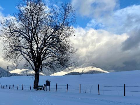 Wintertage in Reit im Winkl - ob zum Skifahren, Langlaufen oder Winterwandern, in Reit im Winkl gibt es oft bis zum Winterende Schnee in Hülle und Fülle - (c) Gabi Dräger