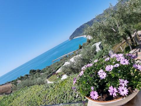 Wandern zwischen wilden Orchideen im Nationalpark Gargano, mehr als 100 Orchideen-Arten findet man hier im Norden Apuliens - (c) Gabi Vögele