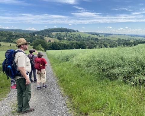 Wunderschöne Aussichten sind garantiert bei der Wanderung im Rheingau - (c) Thomas Rentschler