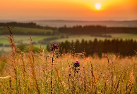 Wie nachhaltig geht es im Vogelsberg zu? Zum 8. Hessischen Tag der Nachhaltigkeit - (c) Christina Marx