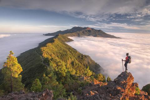 La Palma: Ein erstklassiges Biosphärenreservat 4000 Meter über dem Atlantik  - (c) Saul Santos