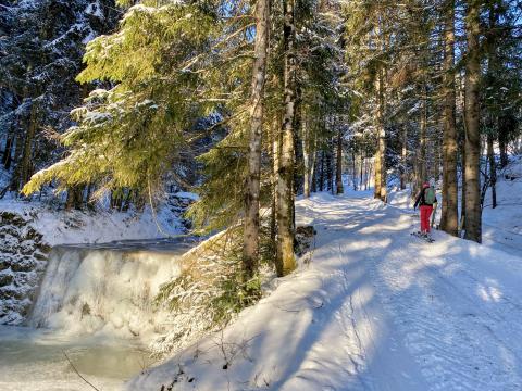 Zunächst durch den Wald... - (c) Christine Kroll