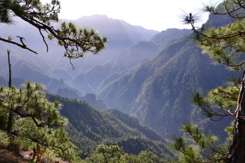 Im Herz der Insel sorgen die Passatwinde für mildes Klima und machen das Wandern zum reinsten Genuss - (c) Flora Jädicke Im Herz der Insel sorgen die Passatwinde für mildes Klima und machen das Wandern zum reinsten Genuss - (c) Flora Jädicke