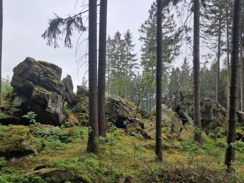 Lochstein, Brandfelsen, Katzenstein, Lohbergfelsen oder Pfaffenstein: Das sächsische Vogtland ist reich an allerlei bizarren Felsformationen - (c) Alexa Christ Lochstein, Brandfelsen, Katzenstein, Lohbergfelsen oder Pfaffenstein: Das sächsische Vogtland ist reich an allerlei bizarren Felsformationen - (c) Alexa Christ